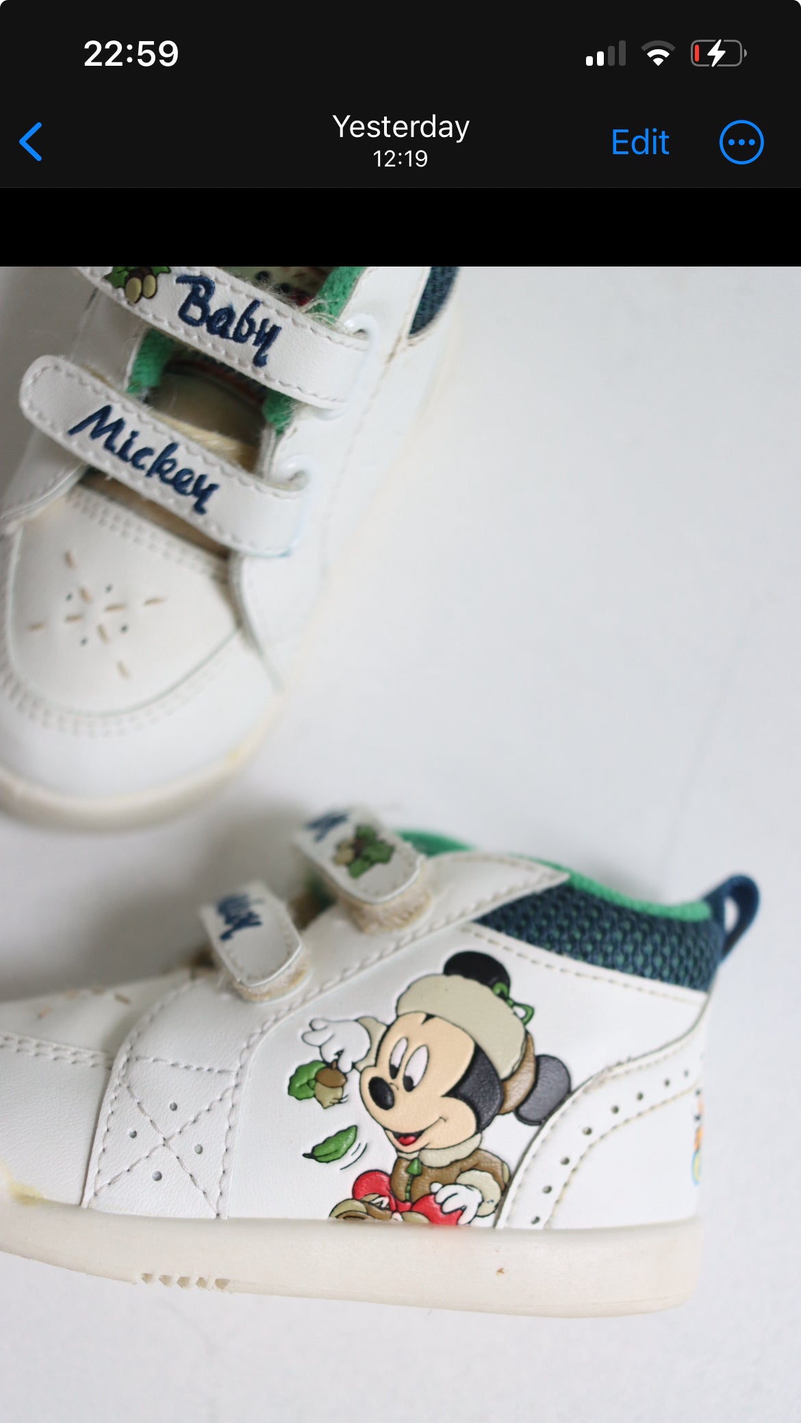 Mickey Harvest sneakers